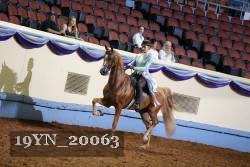 19YN_20063 proof
