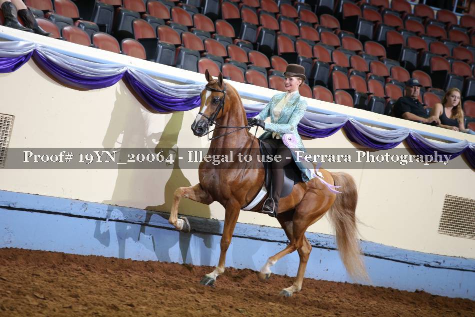 Proof 19YN_20064