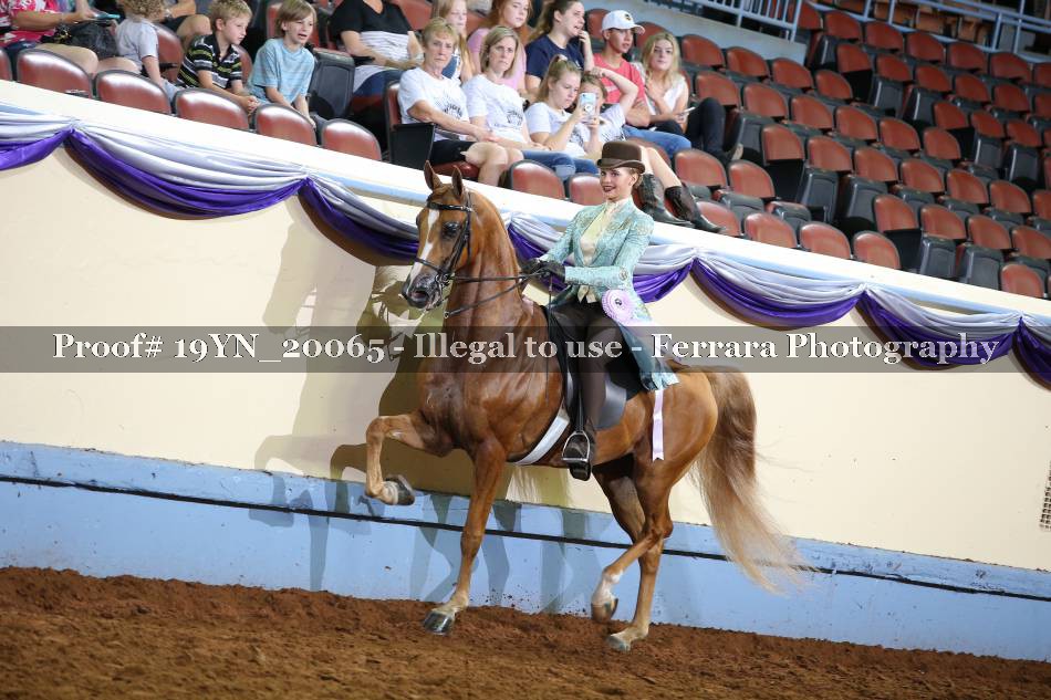 Proof 19YN_20065