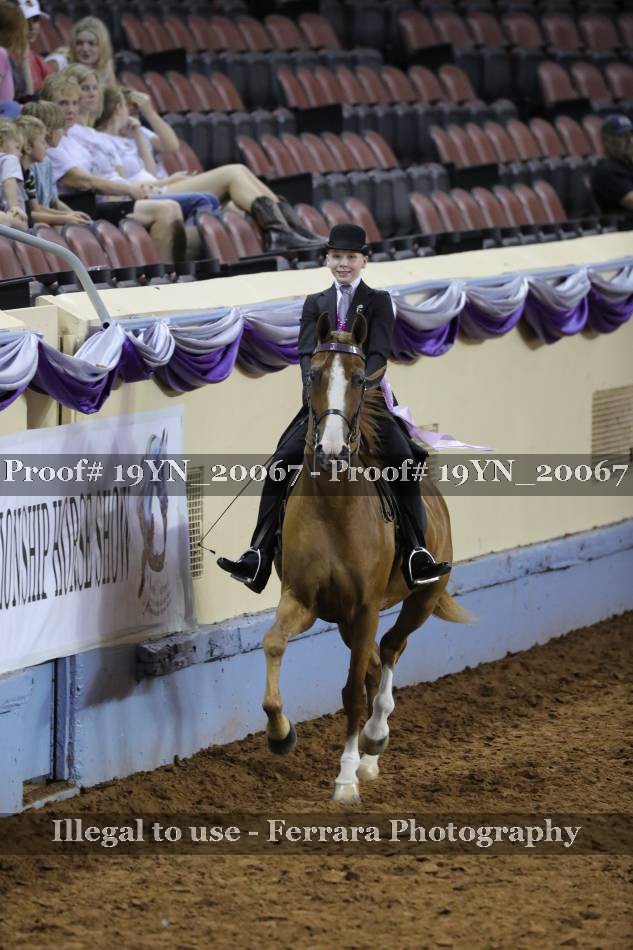 Proof 19YN_20067