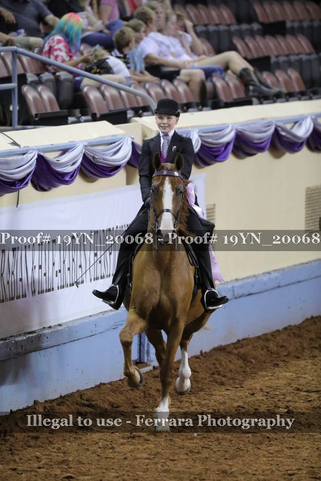 Proof 19YN_20068