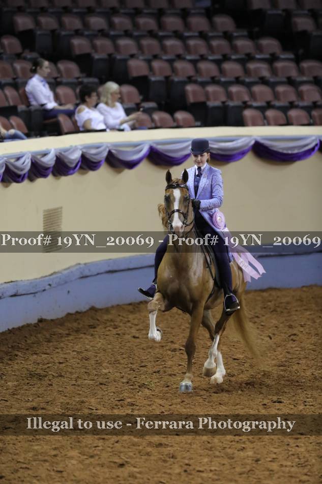Proof 19YN_20069