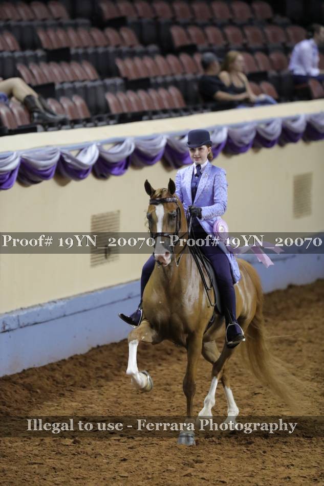 Proof 19YN_20070