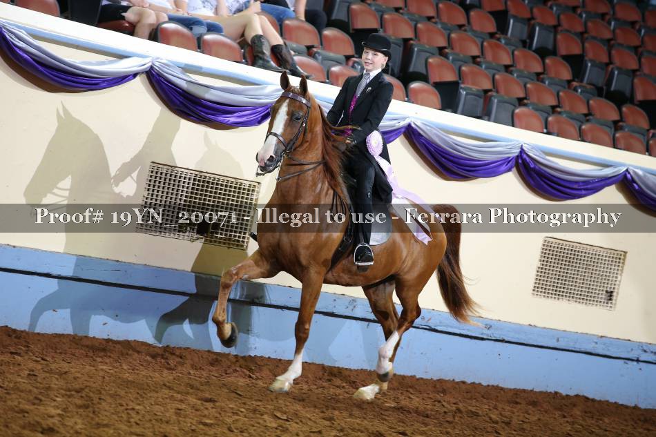 Proof 19YN_20071
