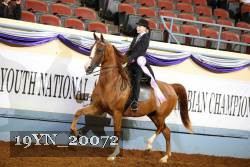 19YN_20072 proof