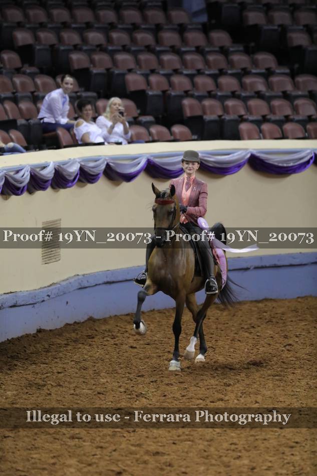 Proof 19YN_20073