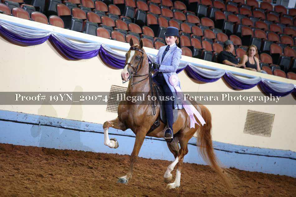 Proof 19YN_20074