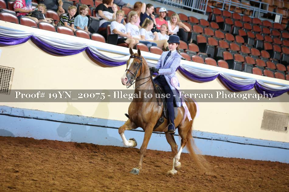 Proof 19YN_20075