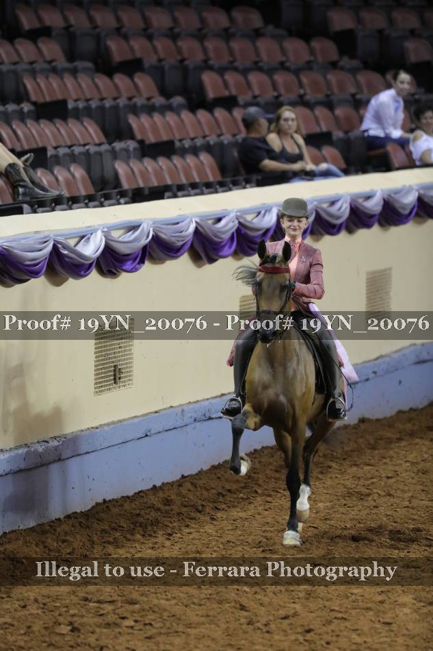 Proof 19YN_20076