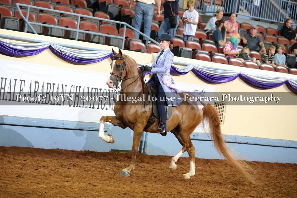 Proof 19YN_20077