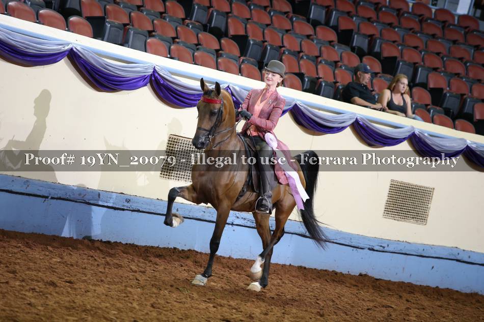 Proof 19YN_20079