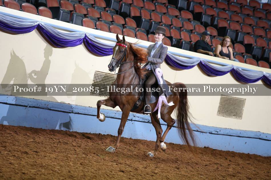 Proof 19YN_20085