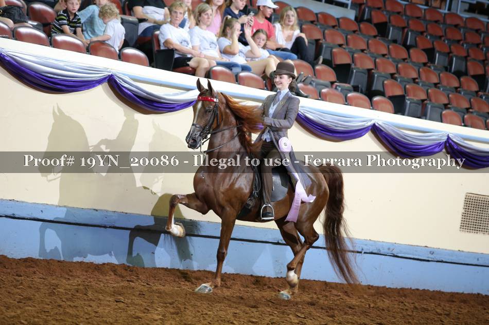 Proof 19YN_20086