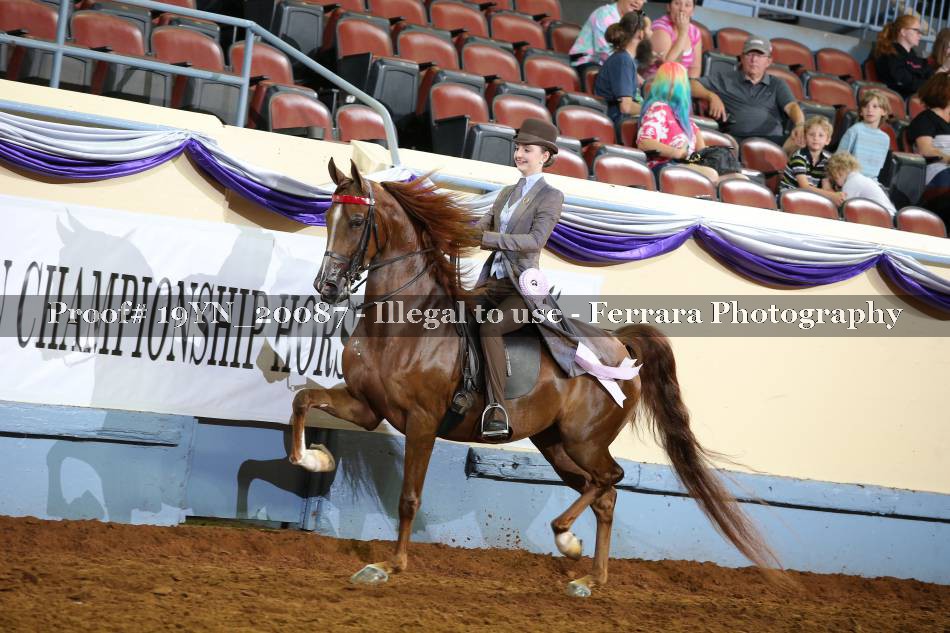 Proof 19YN_20087