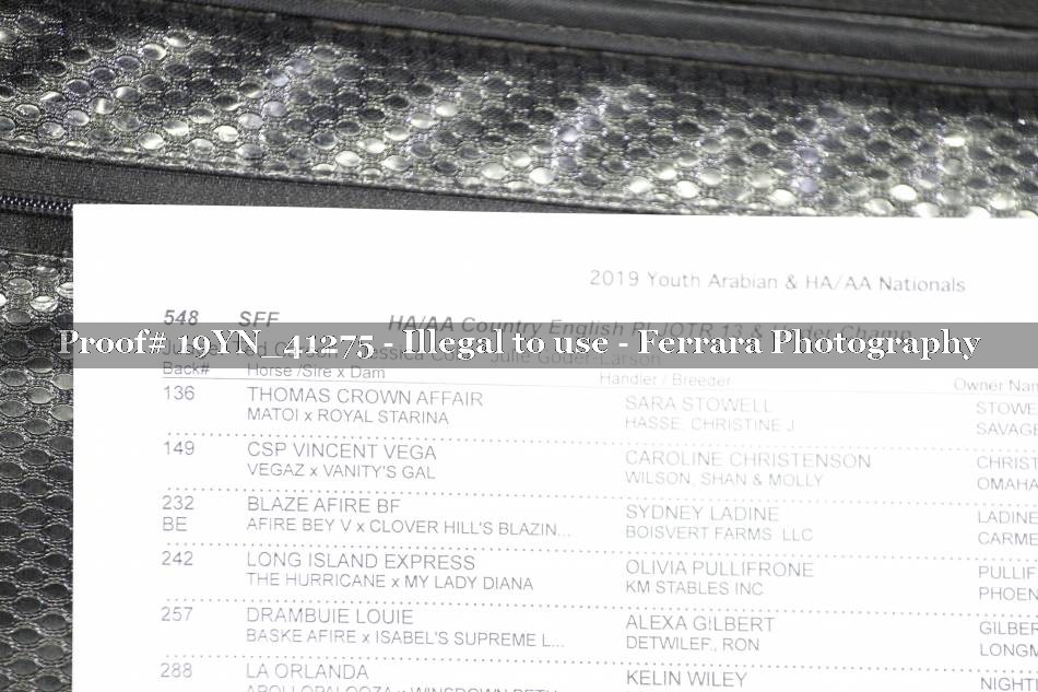 Proof 19YN_41275