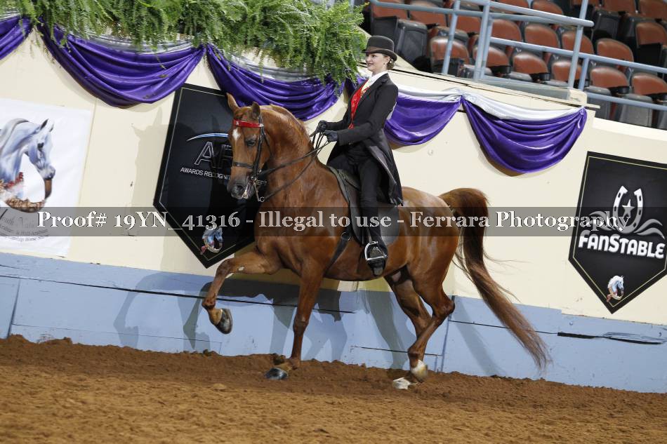 Proof 19YN_41316