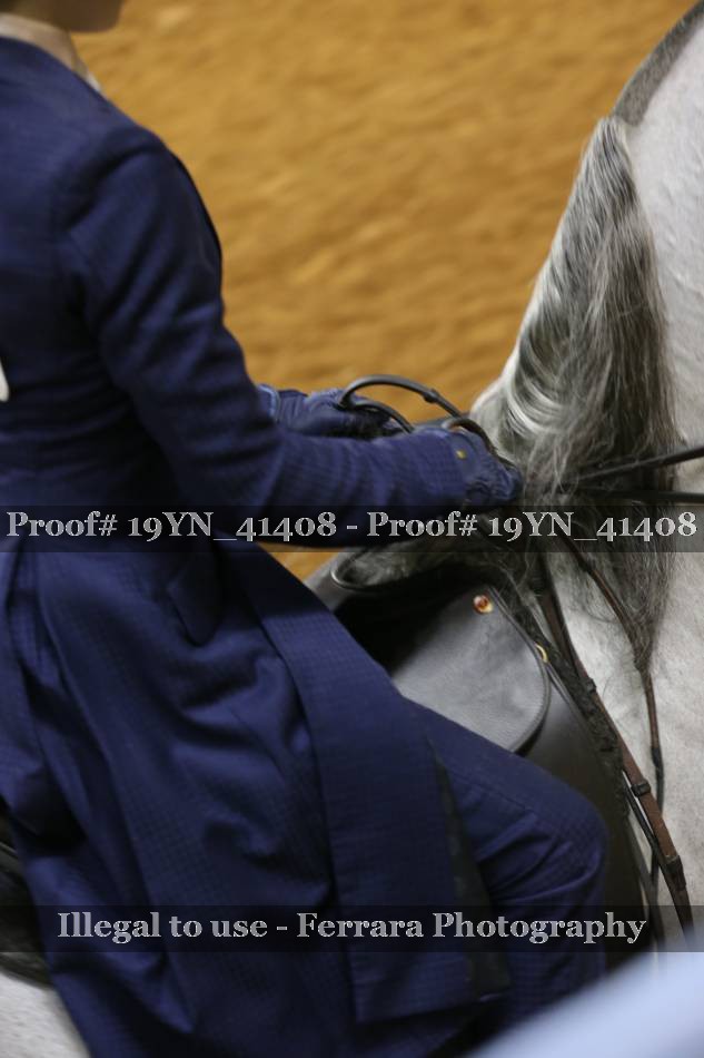 Proof 19YN_41408