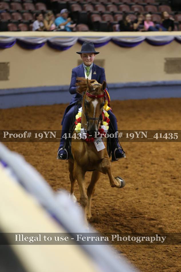 Proof 19YN_41435