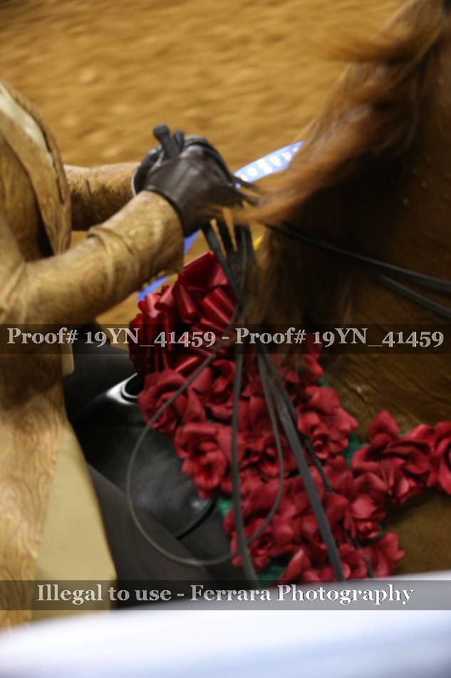 Proof 19YN_41459