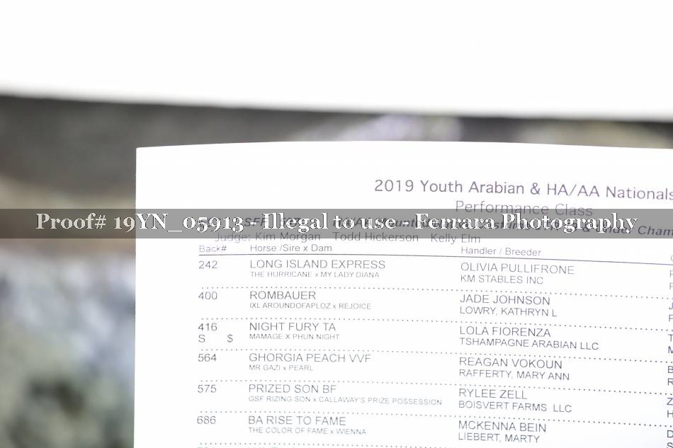 Proof 19YN_05913