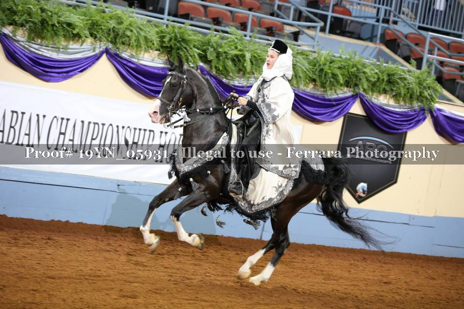 Proof 19YN_05931