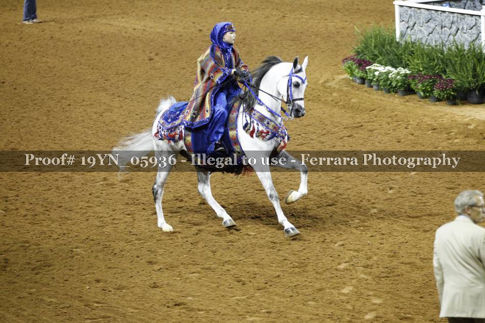 Proof 19YN_05936