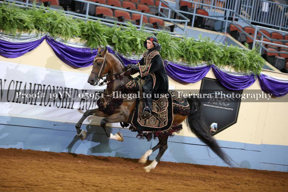 Proof 19YN_05951