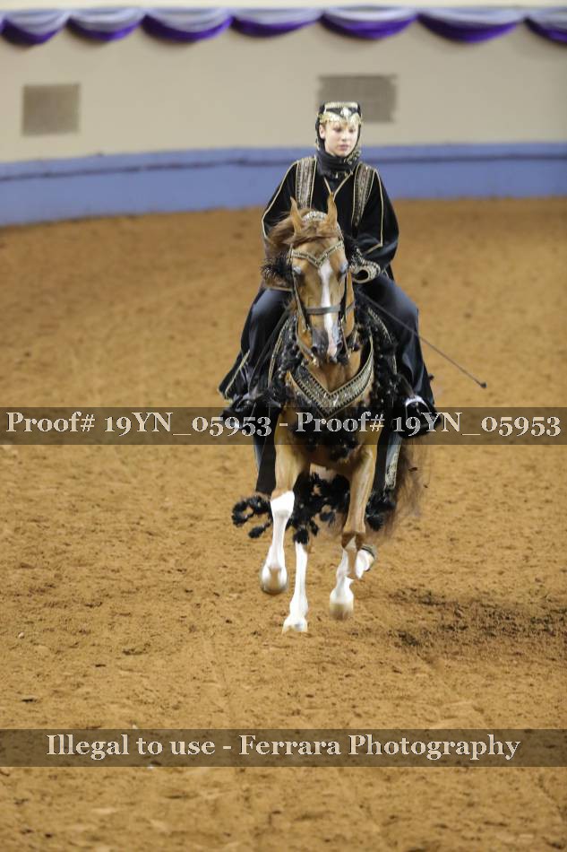 Proof 19YN_05953