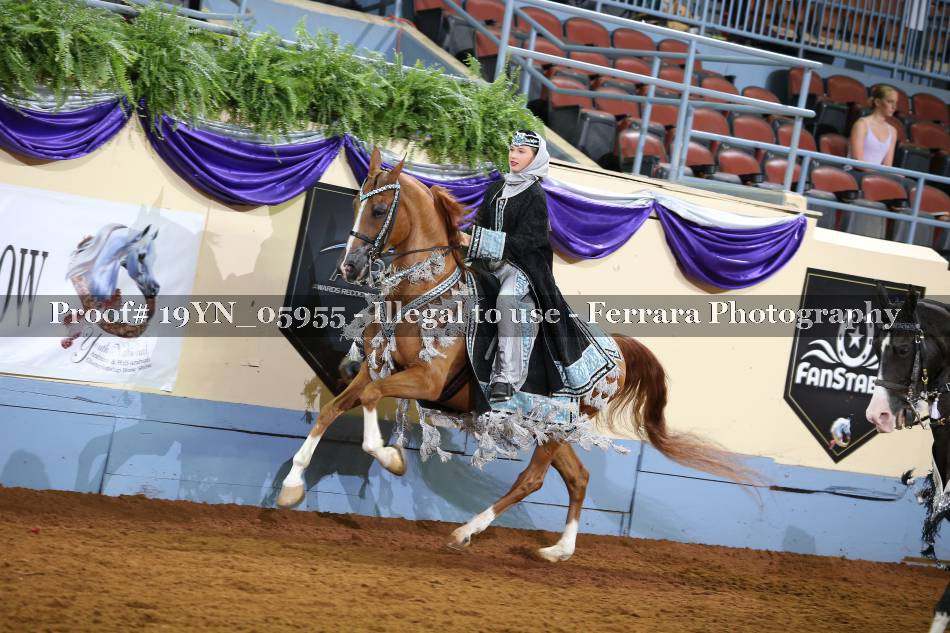 Proof 19YN_05955