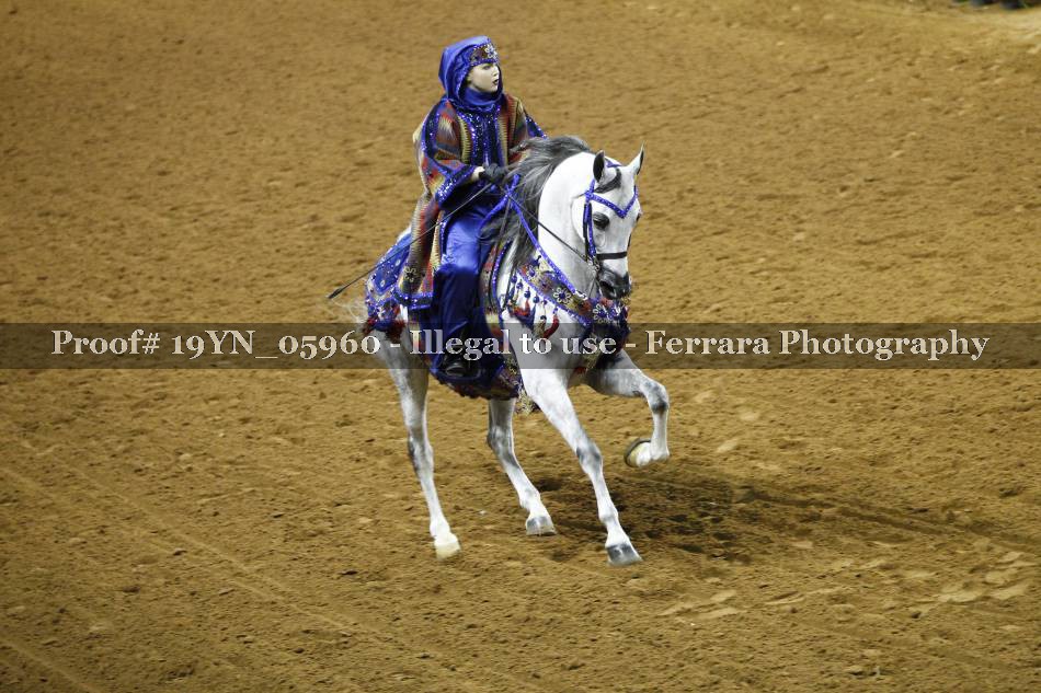 Proof 19YN_05960
