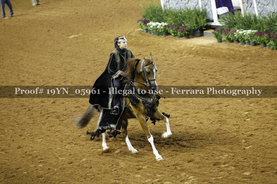 Proof 19YN_05961