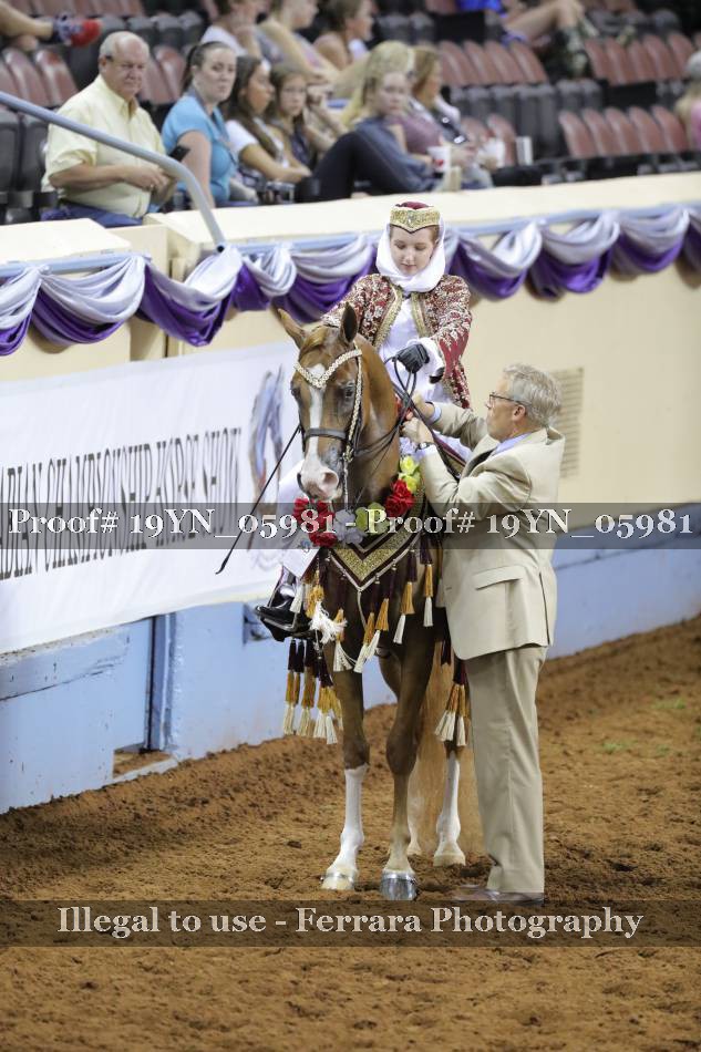 Proof 19YN_05981