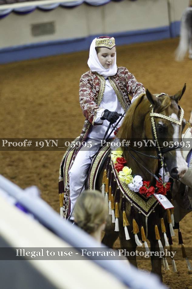 Proof 19YN_05995