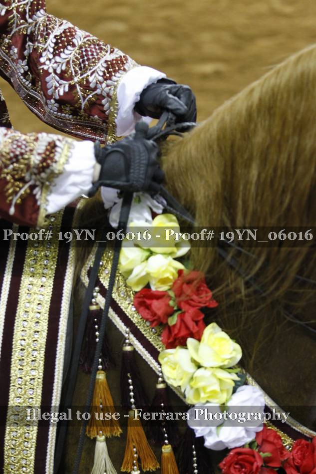 Proof 19YN_06016