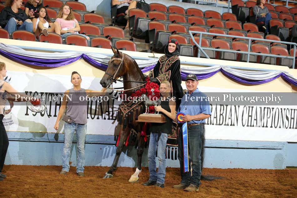 Proof 19YN_06030