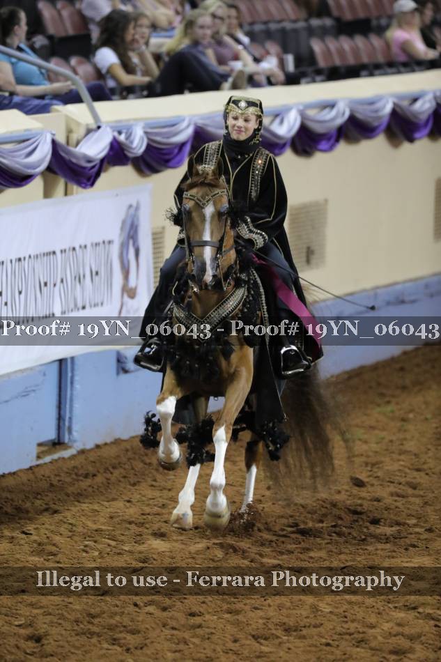 Proof 19YN_06043