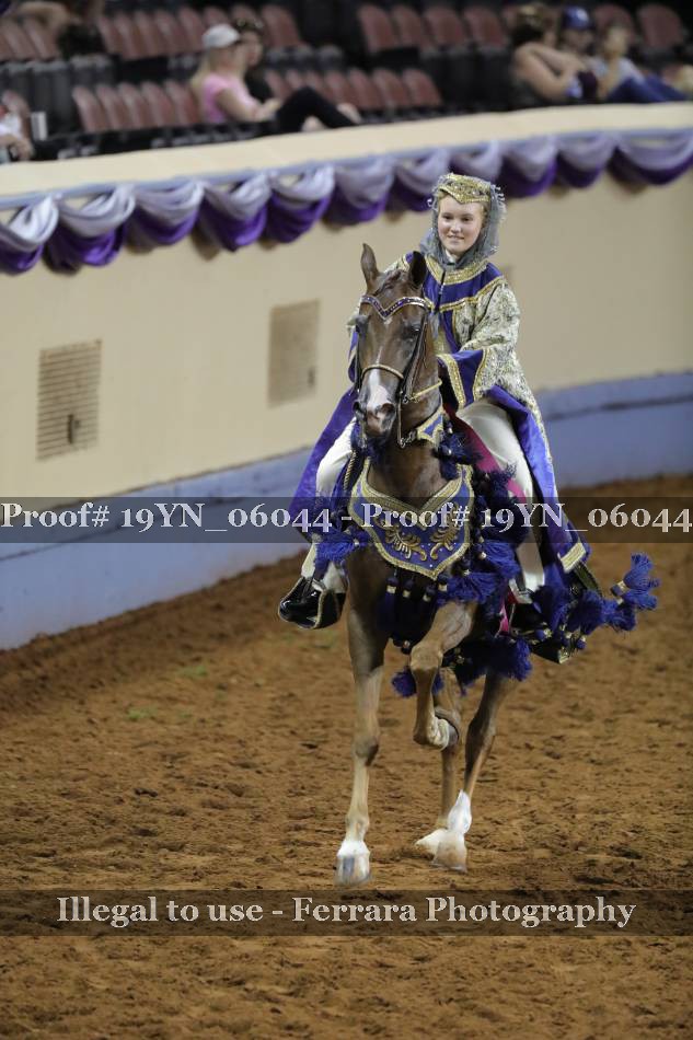 Proof 19YN_06044