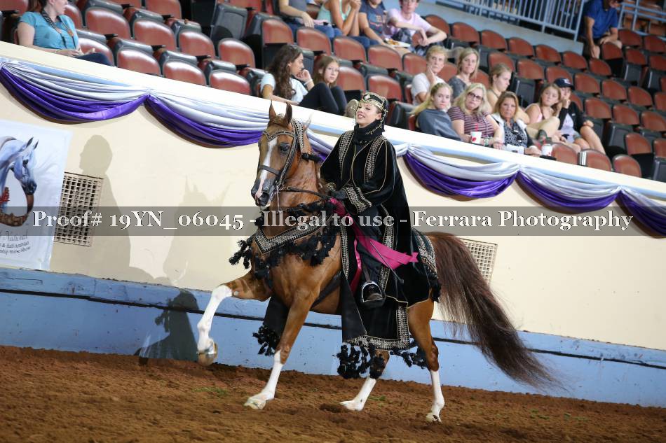 Proof 19YN_06045