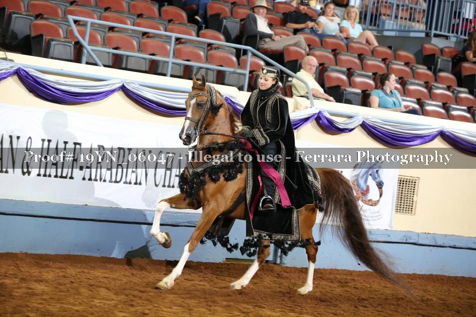 Proof 19YN_06047