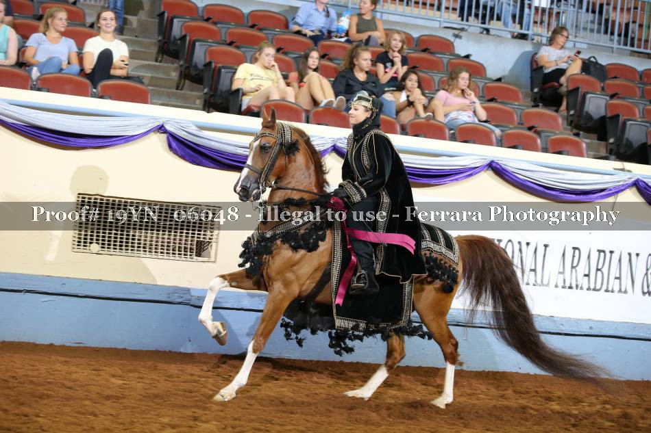 Proof 19YN_06048