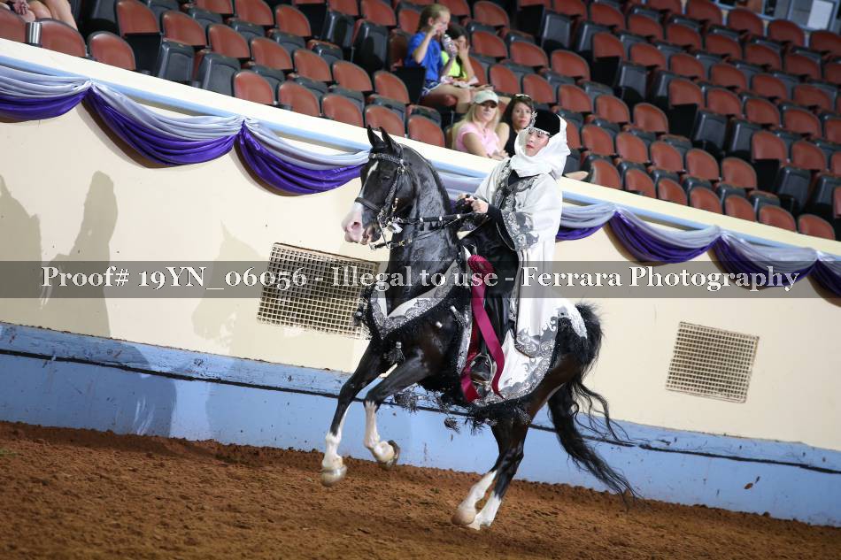 Proof 19YN_06056