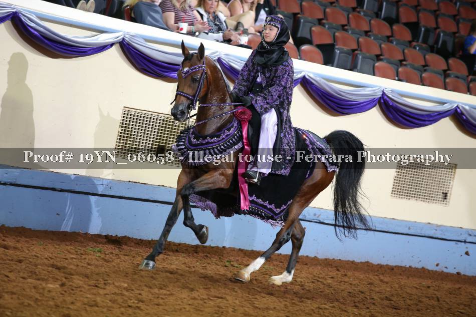 Proof 19YN_06058