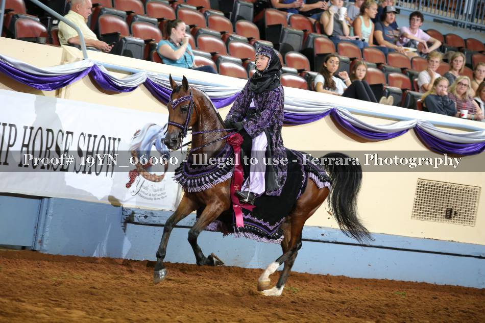 Proof 19YN_06060