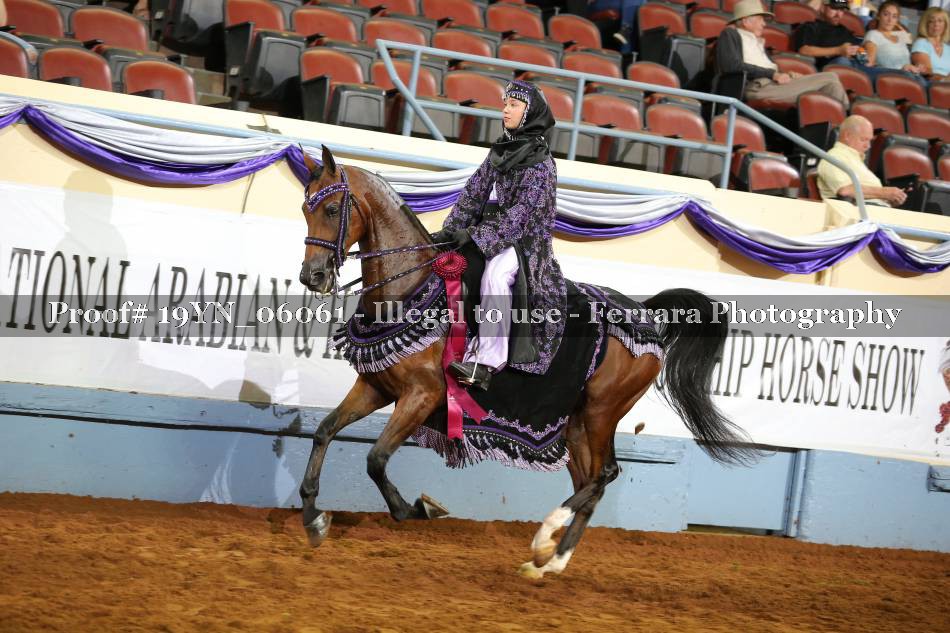Proof 19YN_06061