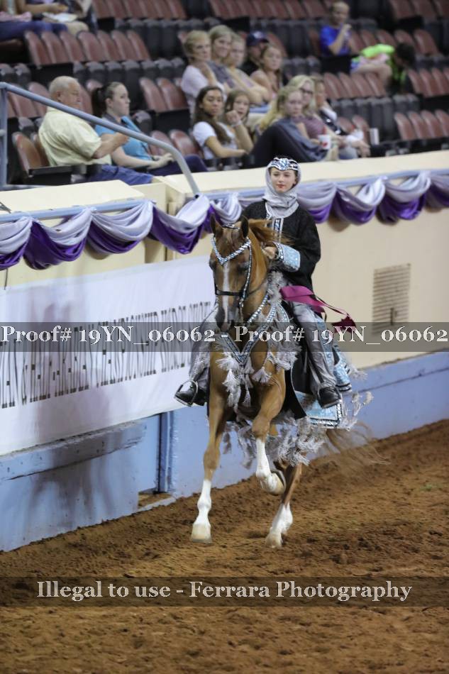 Proof 19YN_06062