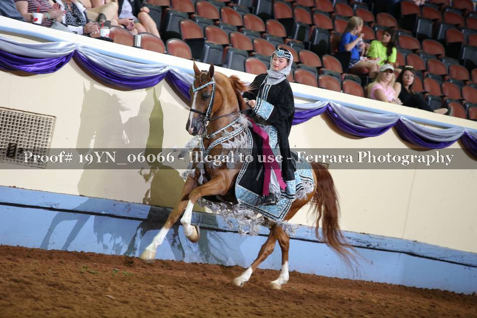 Proof 19YN_06066