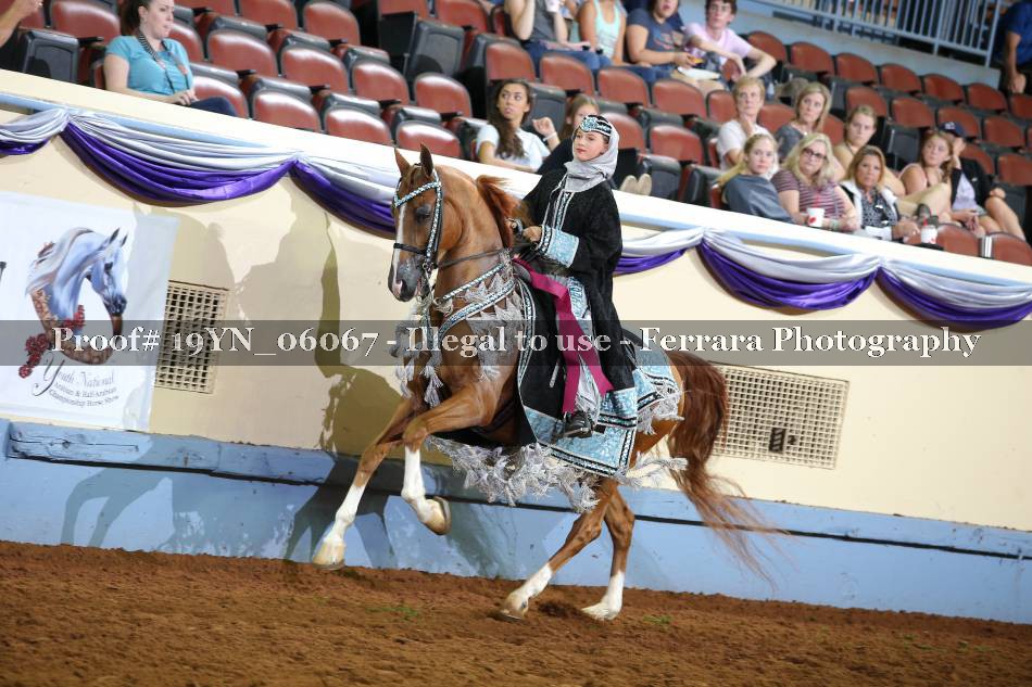 Proof 19YN_06067