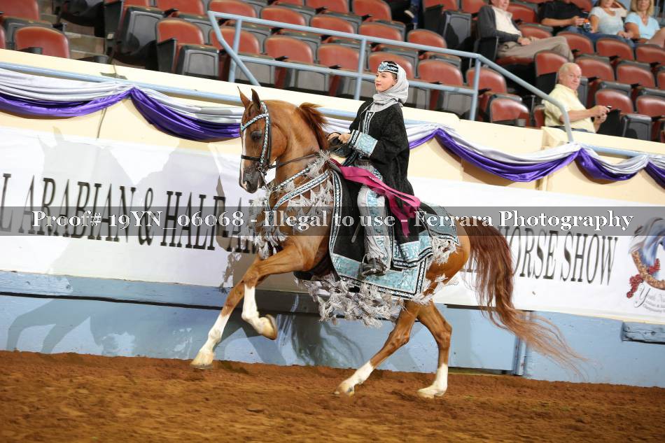 Proof 19YN_06068