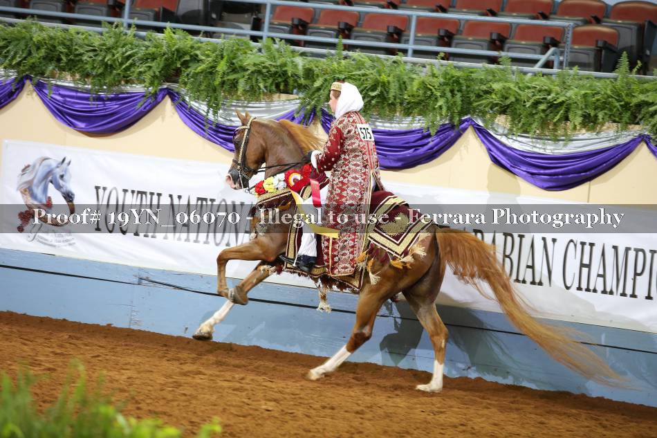 Proof 19YN_06070