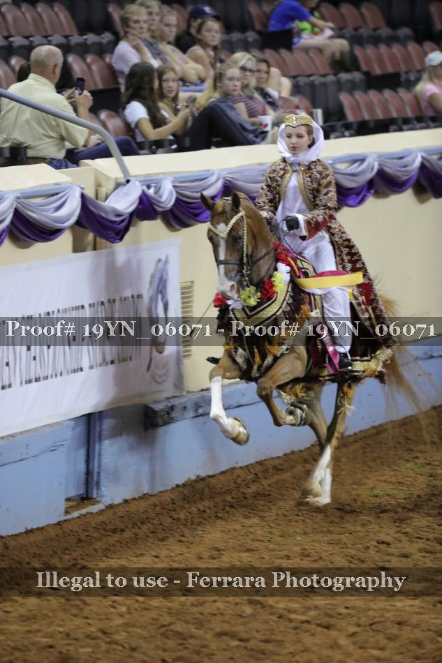 Proof 19YN_06071